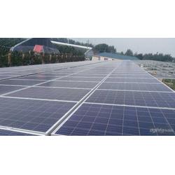 金鼎盛世 以服務至上的理念，引領太陽能發(fā)電行業(yè)新篇章
